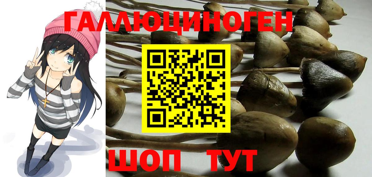 Галлюциногенные грибы GOLDEN TEACHER  Галлюциногенные грибы ЛСД  Альметьевск  Вход с VPN 
